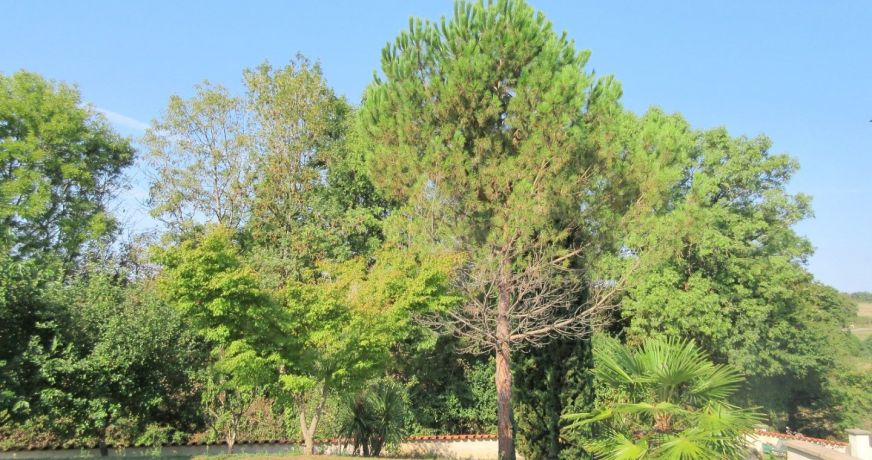 vente Maison Optevoz