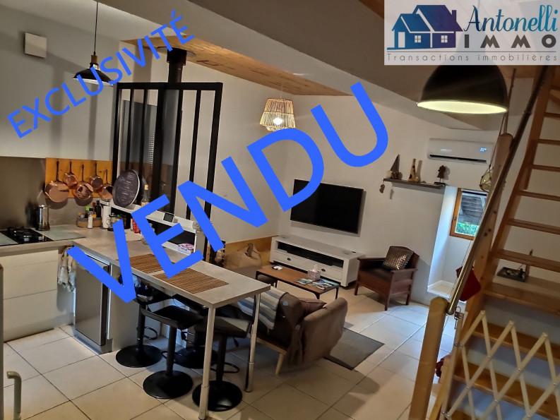 vente Maison de village Courtenay - Photo 1