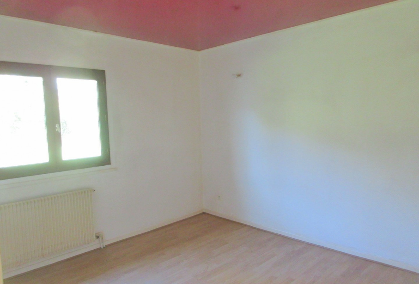 vente Maison Morestel - Photo 10