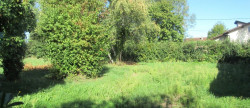 vente Maison Morestel