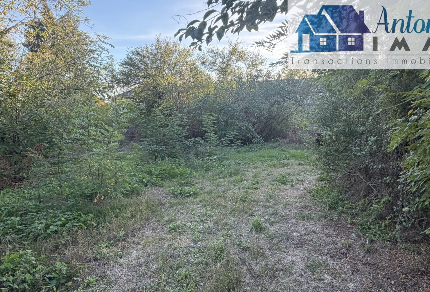 vente Maison Courtenay - Photo 3