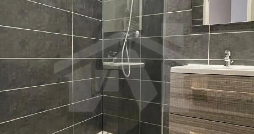 location Appartement Grenoble