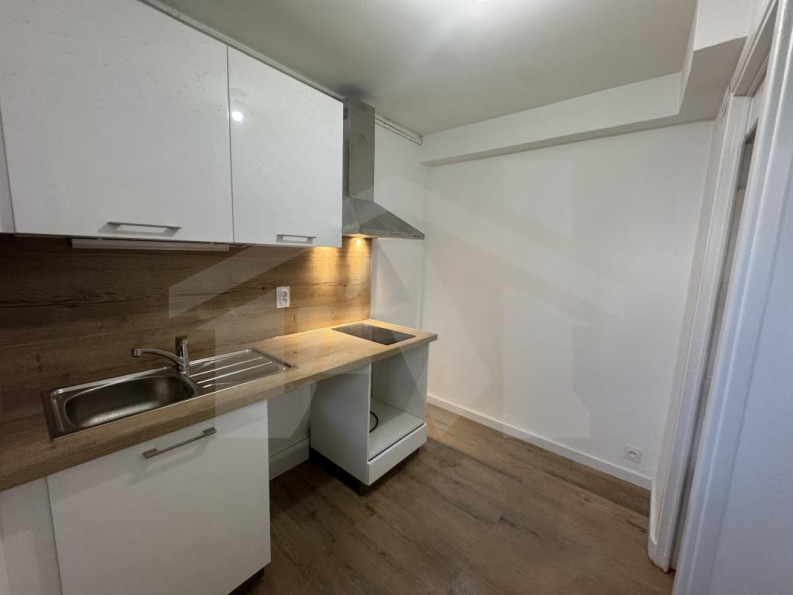 location Appartement Grenoble - Photo 1
