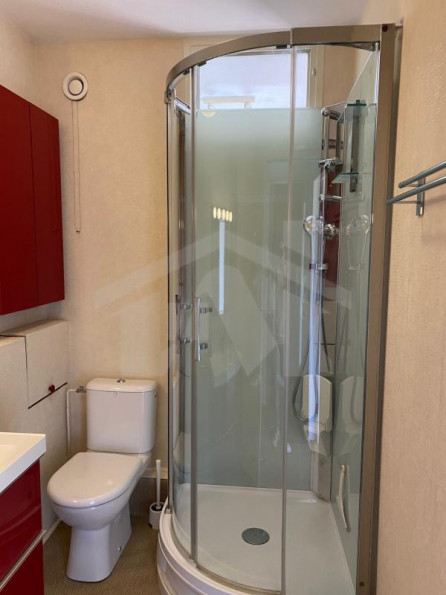 location Appartement Grenoble - Photo 4