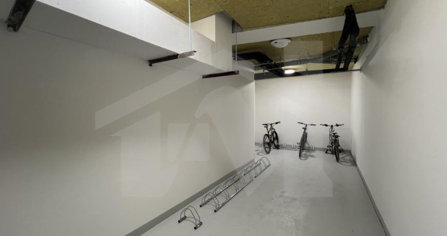 vente Appartement Voiron
