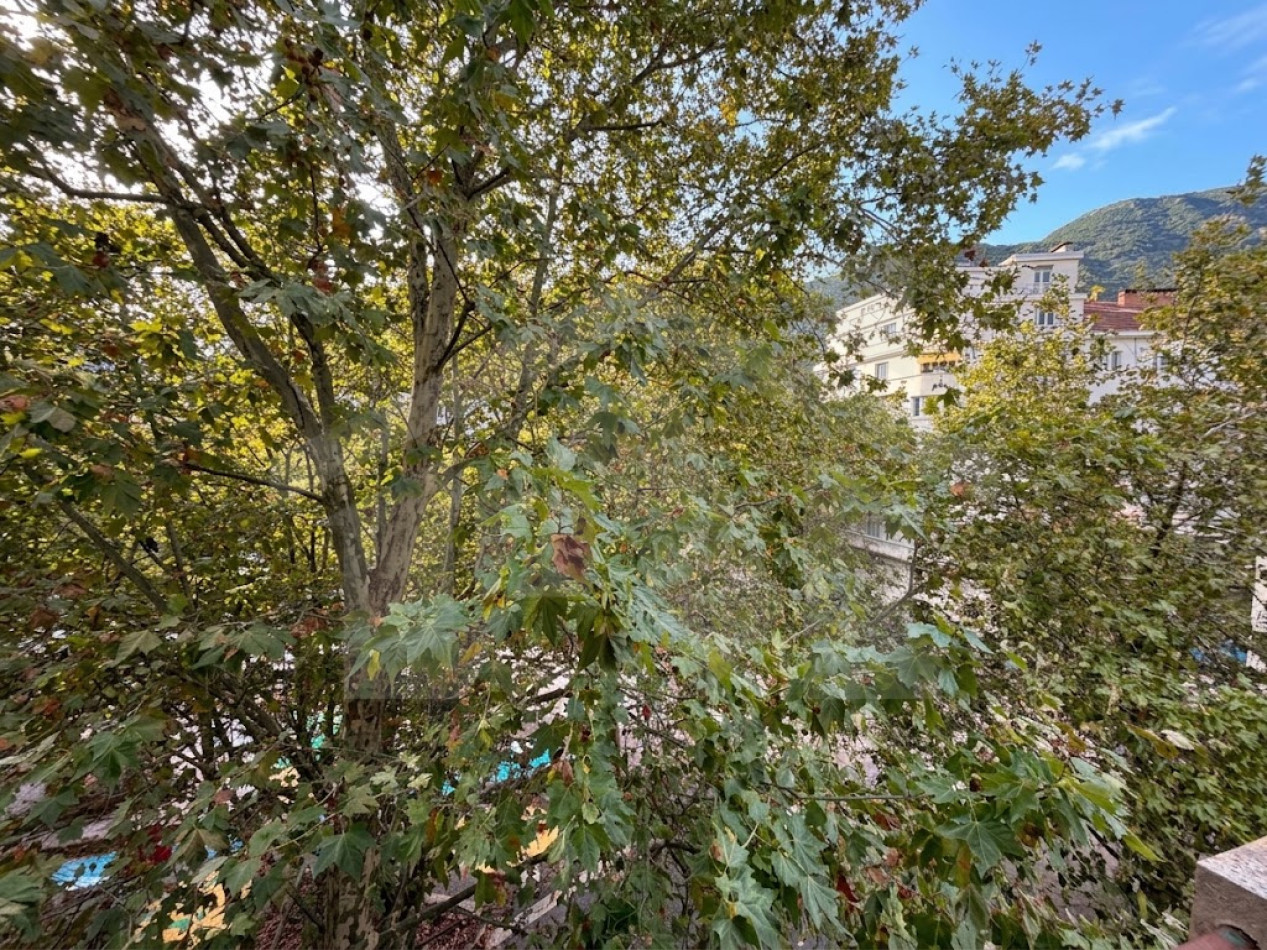 à vendre Appartement Grenoble - Photo 2