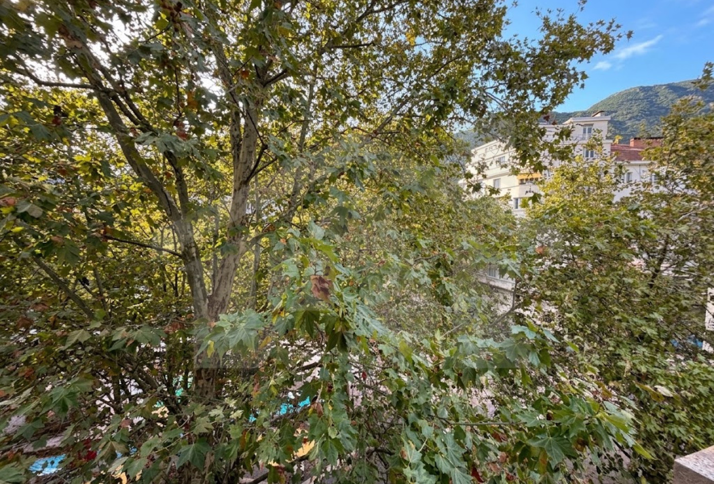 vente Appartement Grenoble - Photo 2