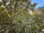 à vendre Appartement Grenoble