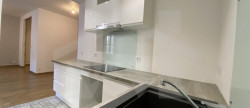 location Appartement Grenoble