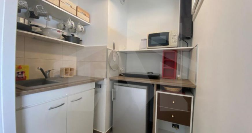 location Appartement Grenoble