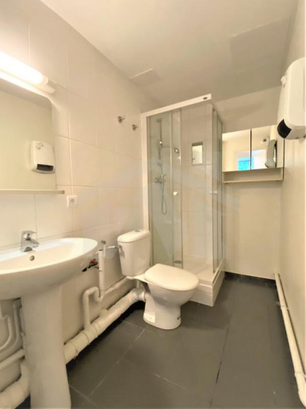 location Appartement Grenoble - Photo 10