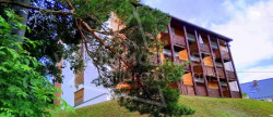 vente Appartement Villard De Lans