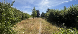 vente Maison Arandon-passins