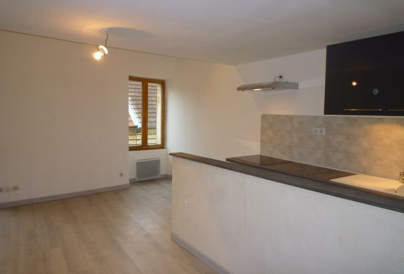 location Appartement Cremieu - Photo 1