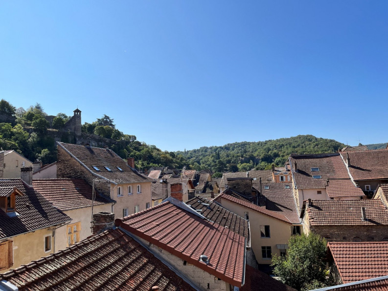 location Appartement Cremieu - Photo 3