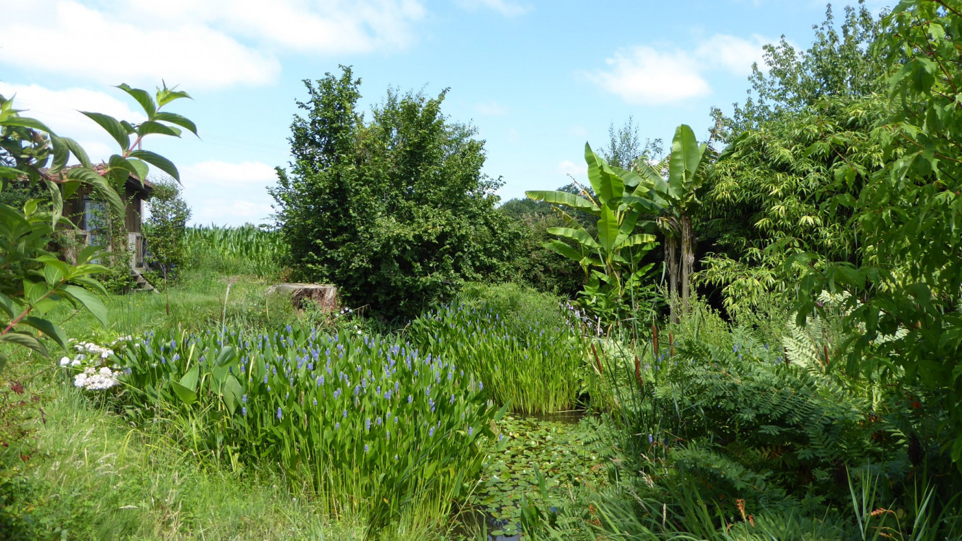 vente Fermette Pouillon - Photo 16