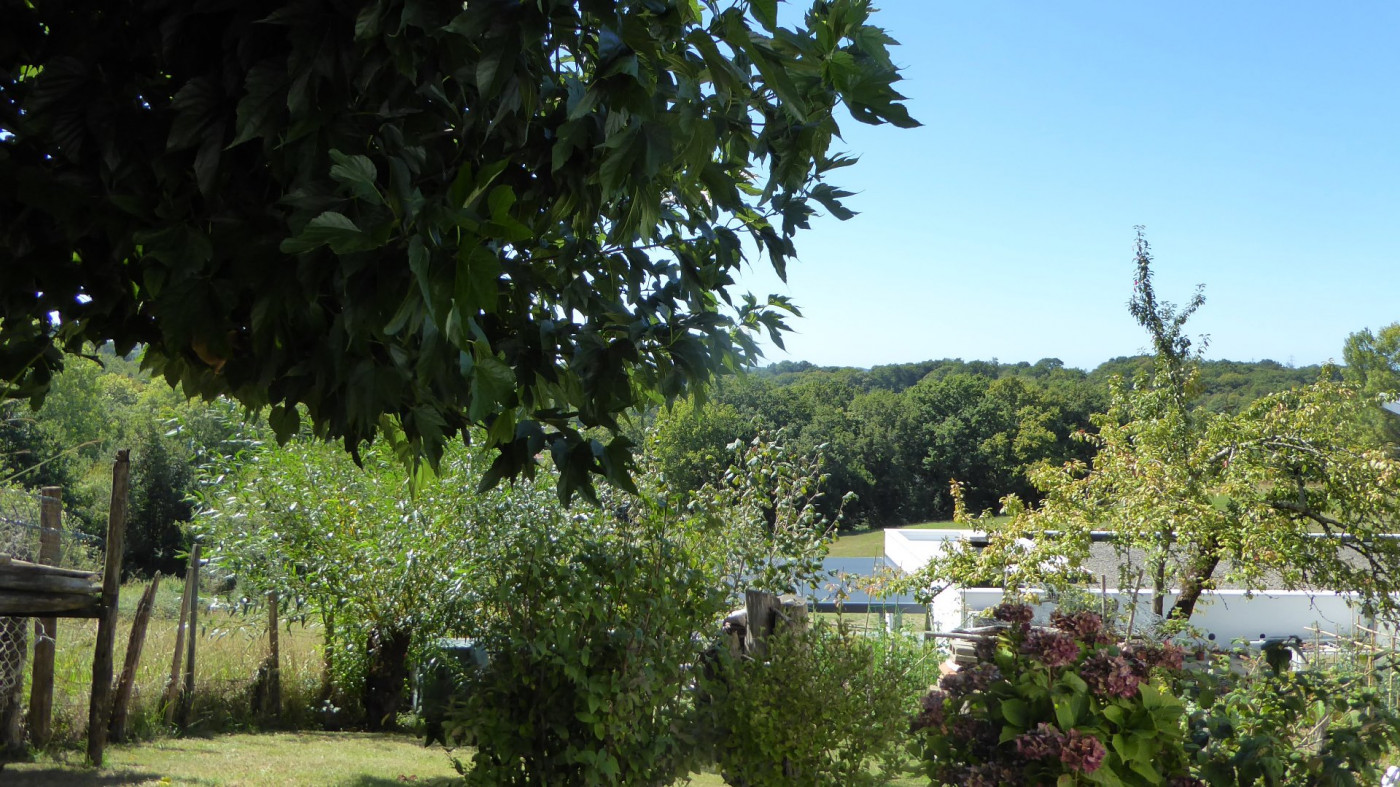 vente Villa Saint Pierre D'irube - Photo 3