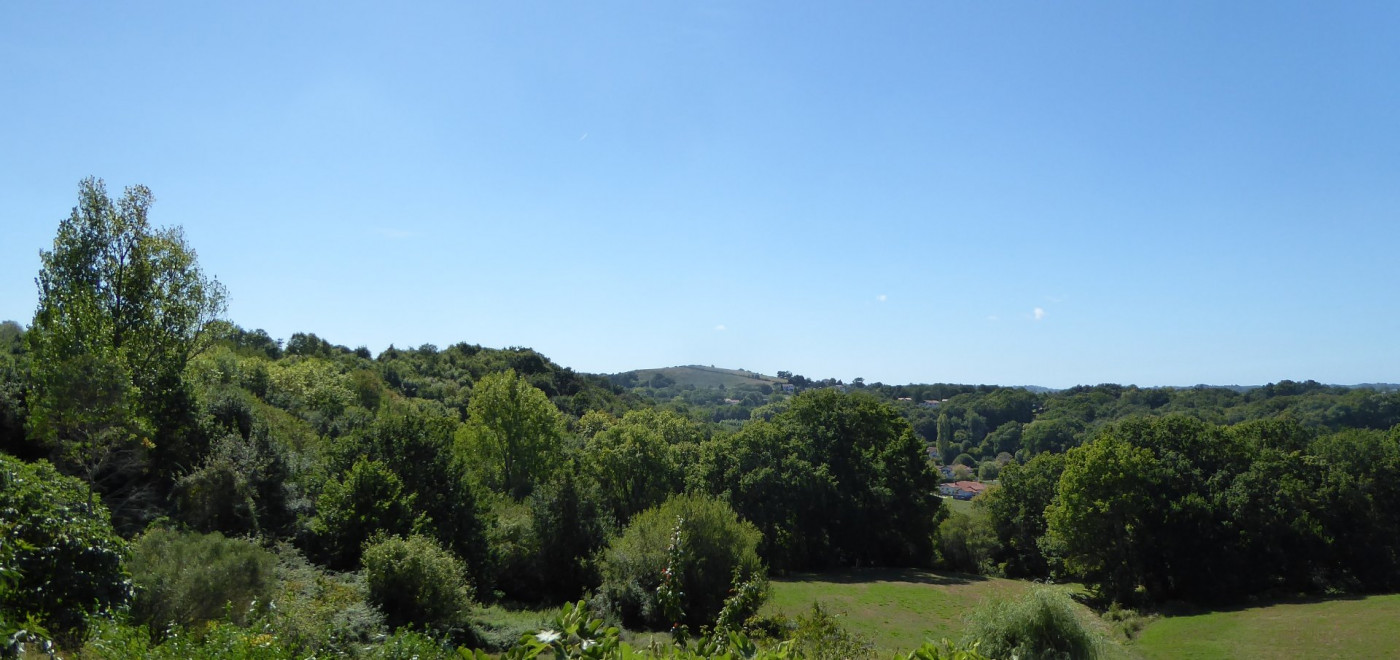 vente Villa Saint Pierre D'irube - Photo 15