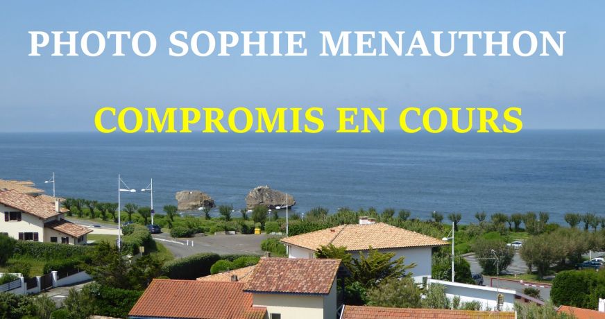 vente Appartement bourgeois Biarritz