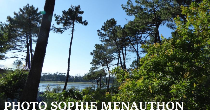 vente Villa d'architecte Hossegor