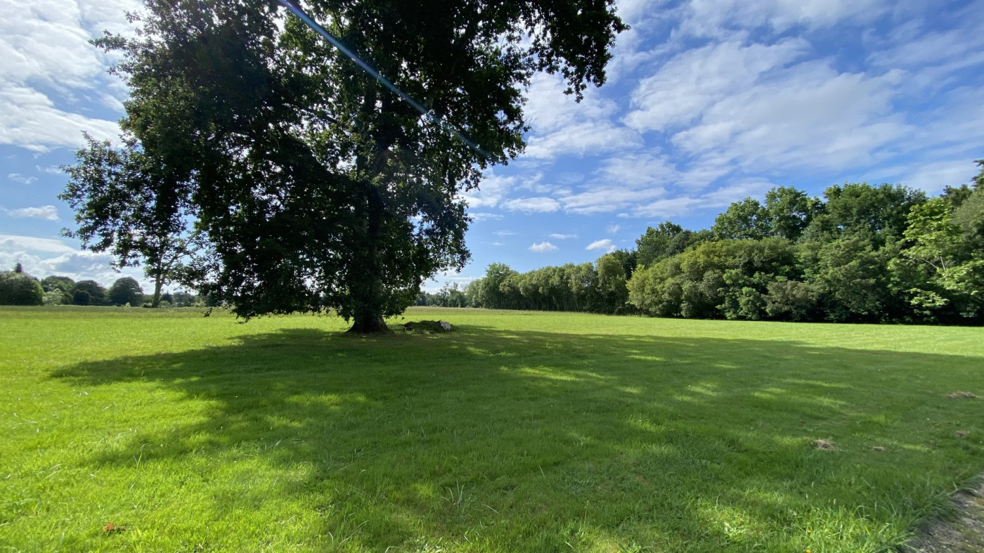 vente Maison de caractère Saint Martin De Seignanx - Photo 2