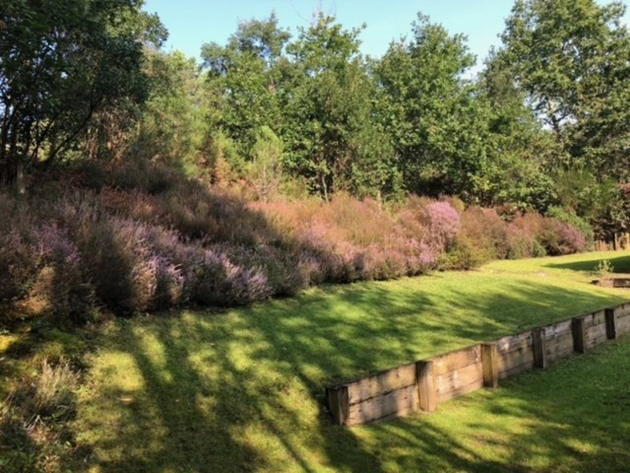 vente Villa d'architecte Seignosse - Photo 12