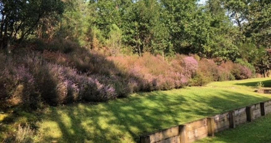 vente Villa d'architecte Seignosse