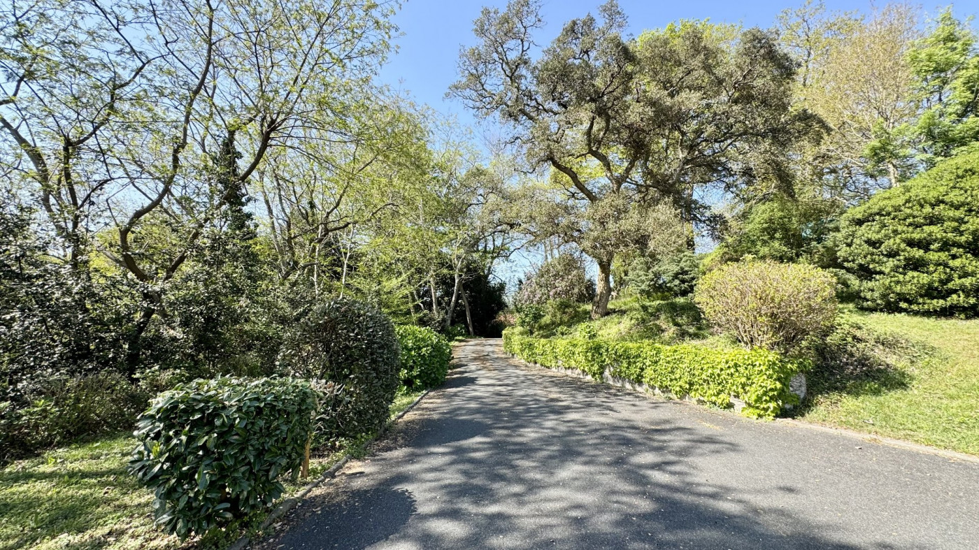 vente Maison contemporaine Bayonne - Photo 4