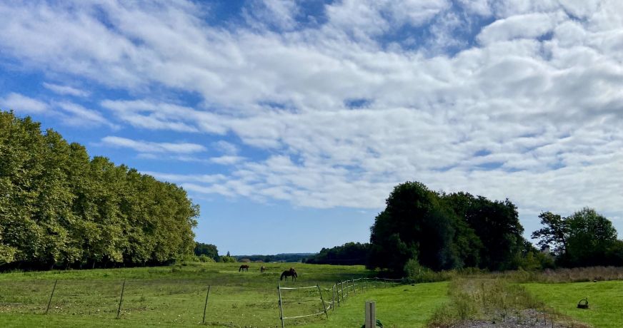 vente Terrain Saint Jean De Marsacq