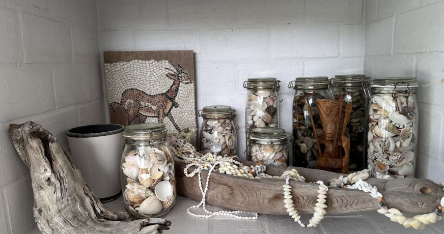 vente Villa d'architecte Seignosse