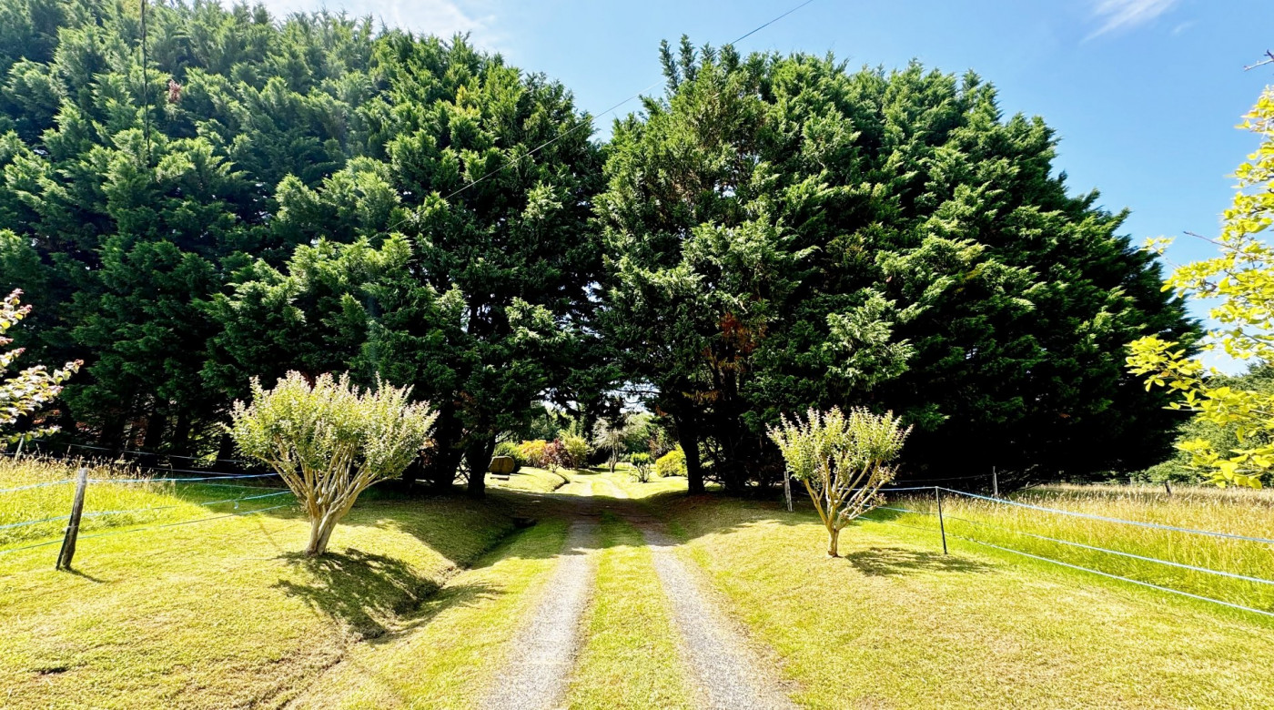 vente Propriété Saint Martin De Seignanx - Photo 3