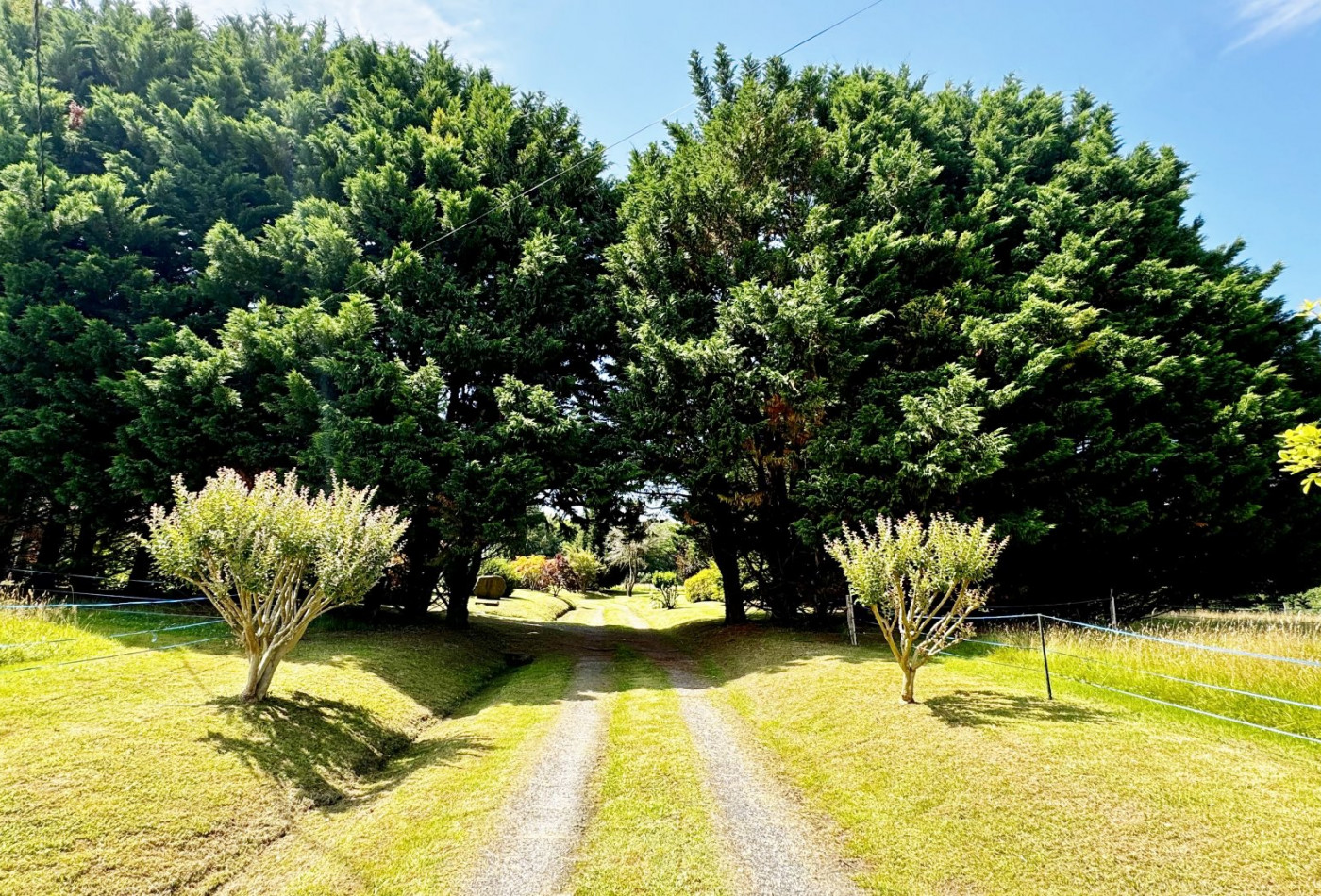 vente Propriété Saint Martin De Seignanx - Photo 3