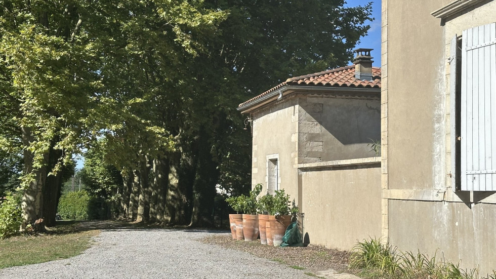 vente Maison bourgeoise Dax - Photo 6