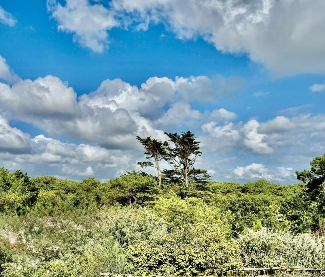 vente Villa d'architecte Hossegor - Photo 14