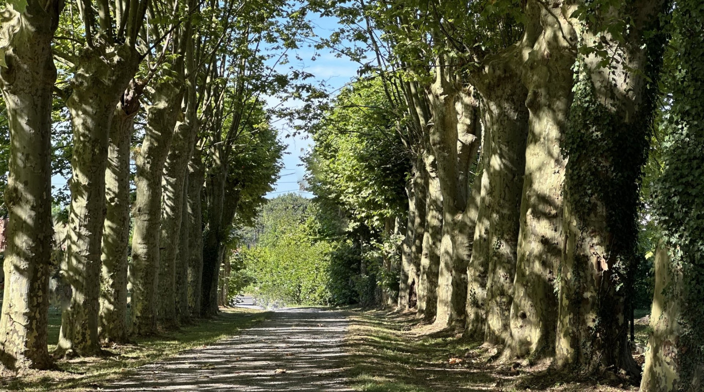 vente Maison bourgeoise Dax - Photo 4