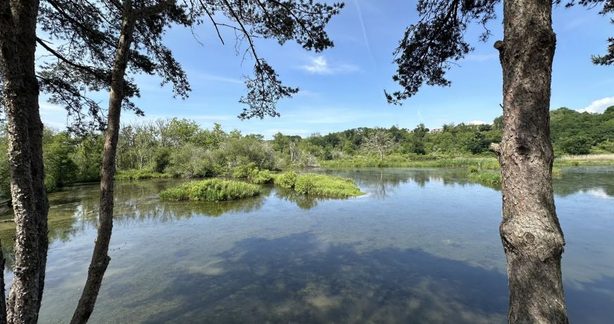 vente Maison de caractère Bayonne