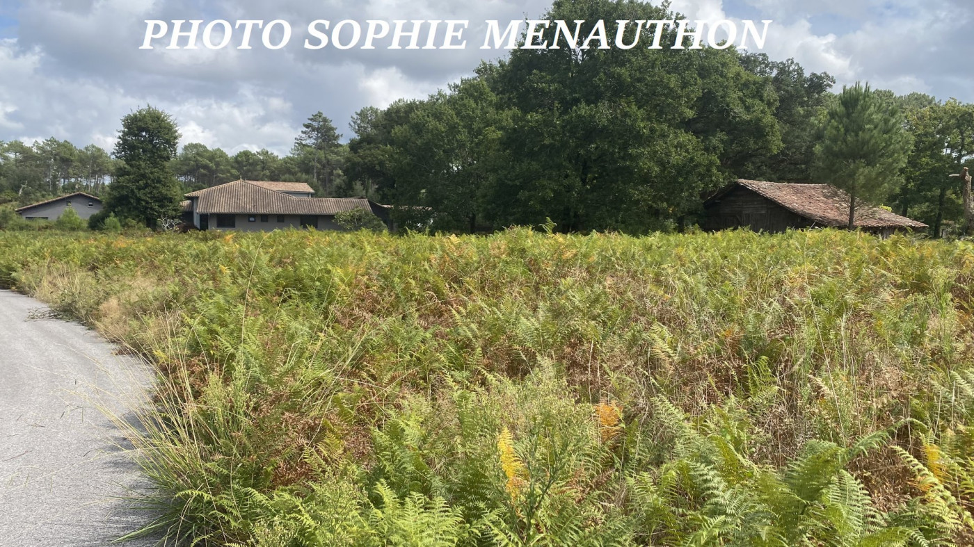 vente Terrain constructible Moliets Et Maa - Photo 5