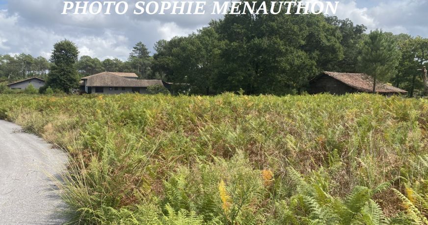 vente Terrain constructible Moliets Et Maa