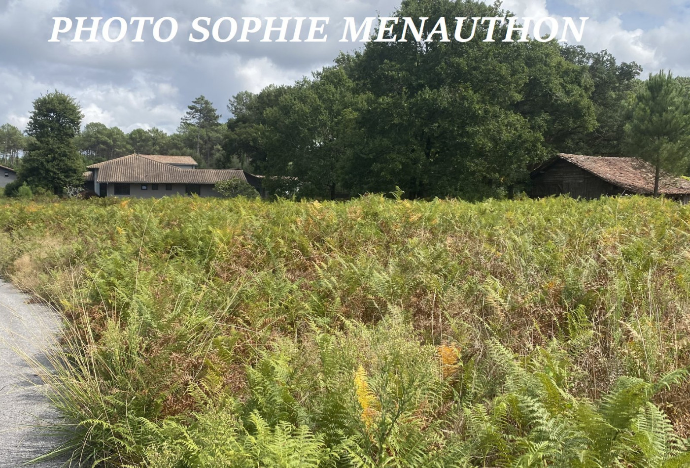 vente Terrain constructible Moliets Et Maa - Photo 5