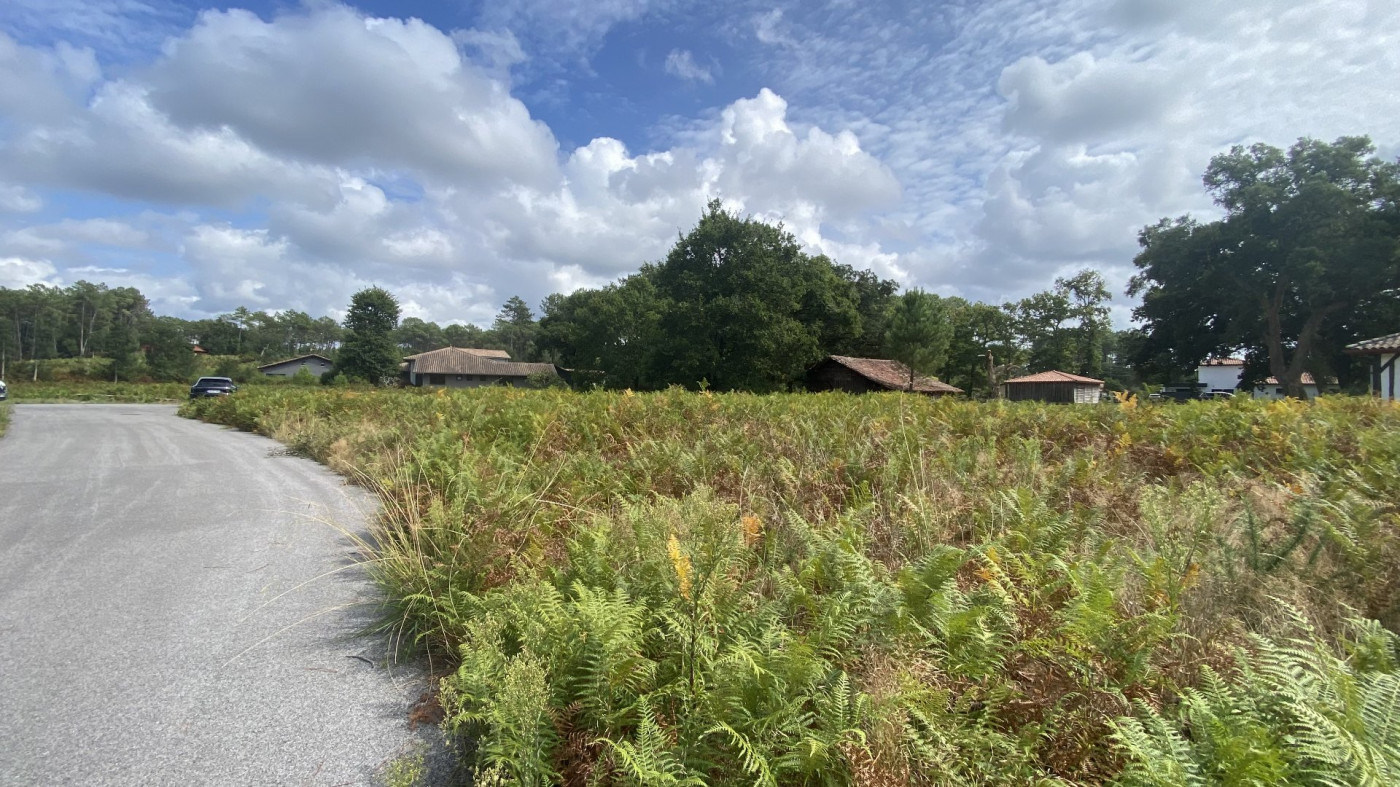vente Terrain constructible Moliets Et Maa - Photo 3