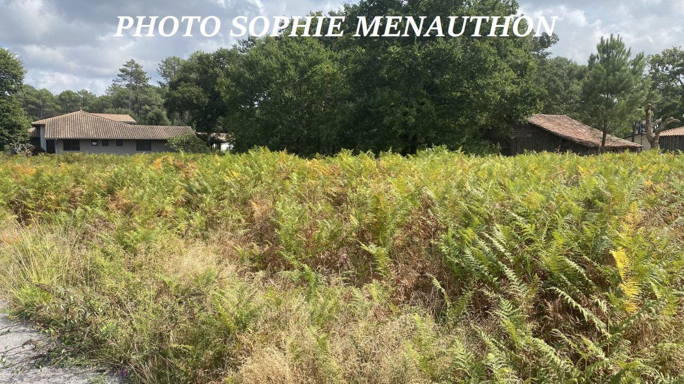 vente Terrain constructible Moliets Et Maa - Photo 7