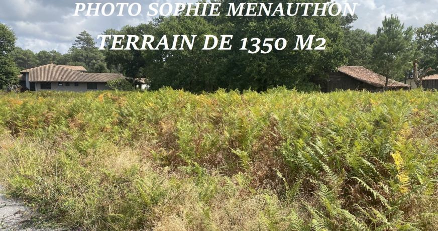 vente Terrain constructible Moliets Et Maa