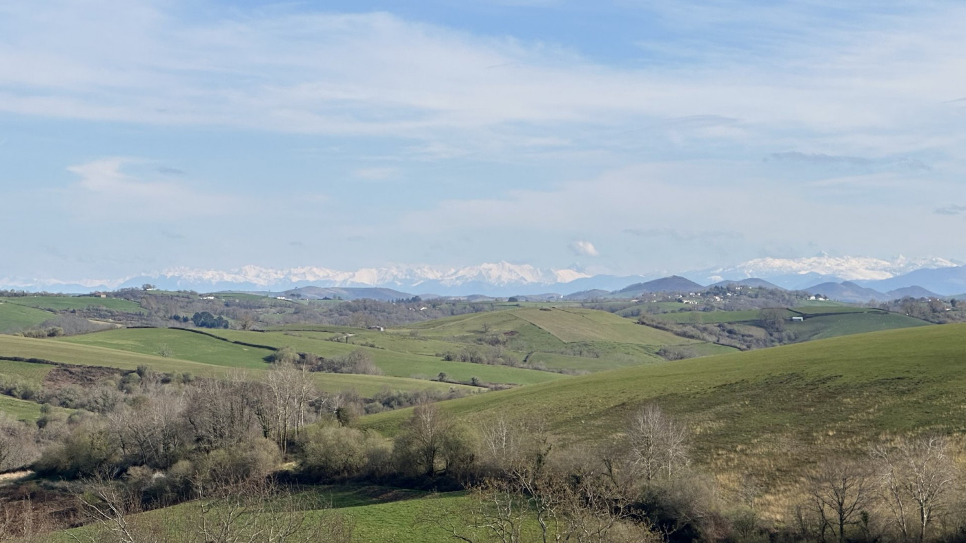 vente Maison contemporaine Briscous - Photo 3