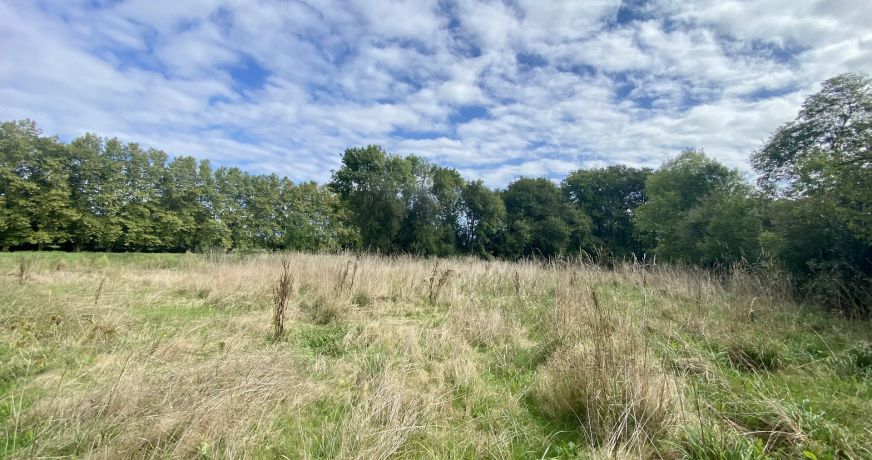 vente Terrain Saint Jean De Marsacq