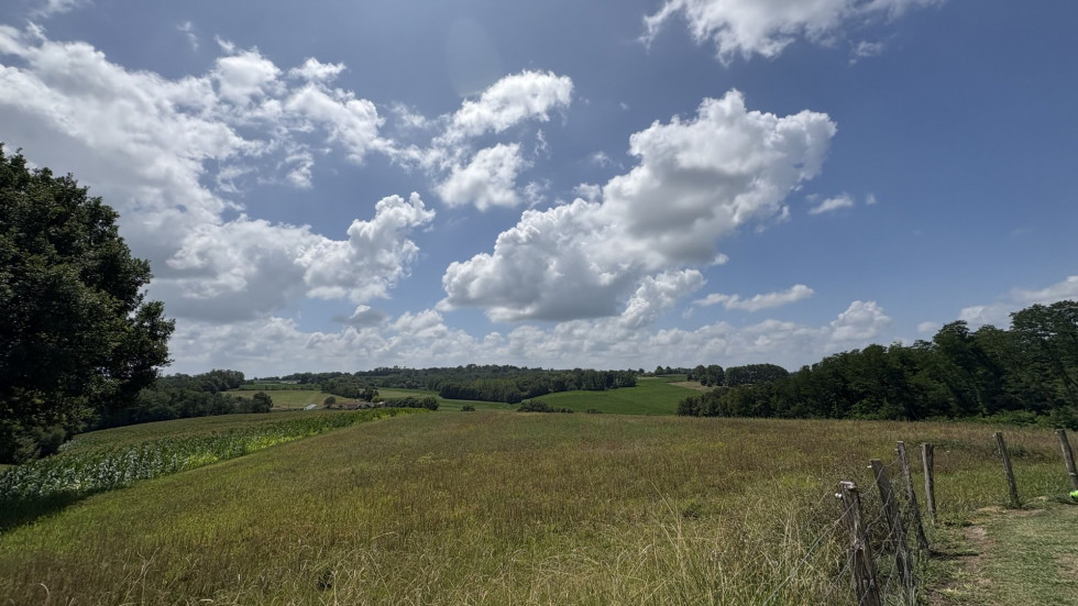 vente Maison Pouillon - Photo 3