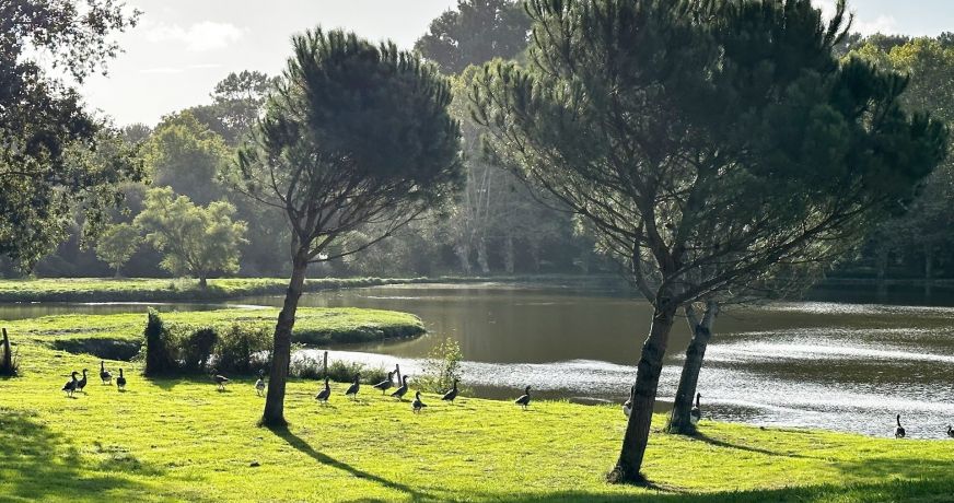 vente Propriété Hossegor