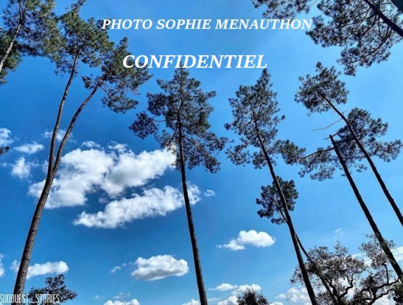 vente Maison Capbreton - Photo 1