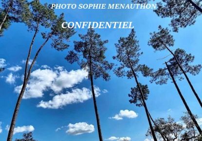 vente Maison Capbreton