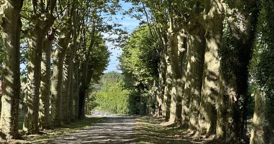 vente Maison bourgeoise Dax