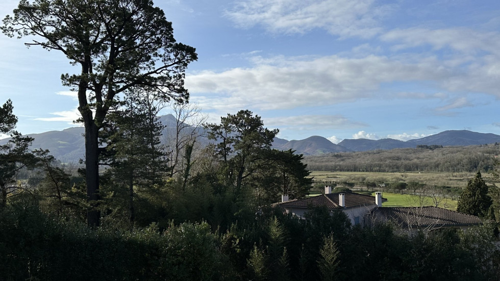 vente Maison bourgeoise Saint Jean De Luz - Photo 3